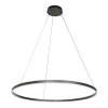 steenhouwer Ringlux Hanglamp LED Zwart, 2-lichts