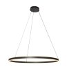 steenhouwer Ringlux Hanglamp LED Zwart, 2-lichts