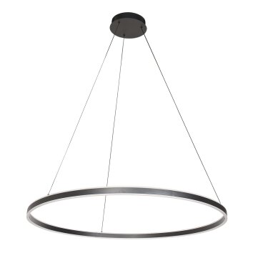 steenhouwer Ringlux Hanglamp LED Zwart, 2-lichts