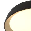 steenhouwer Mykty Plafondlamp LED Goud, Zwart, 1-licht