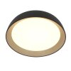 steenhouwer Mykty Plafondlamp LED Goud, Zwart, 1-licht