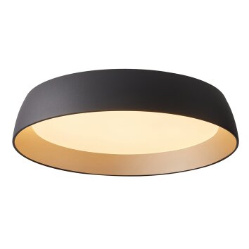 steenhouwer Mykty Plafondlamp LED Goud, Zwart, 1-licht