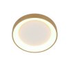 steenhouwer Ringlede Plafondlamp LED Goud, 1-licht