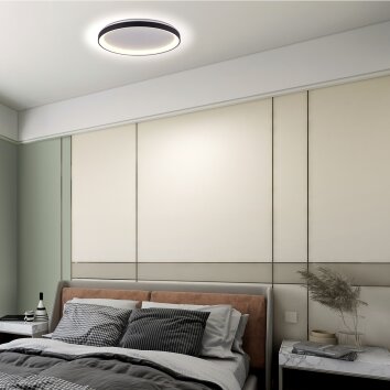 steenhouwer Ringlede Plafondlamp LED Zwart, 1-licht