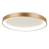 steenhouwer Ringlede Plafondlamp LED Goud, 1-licht