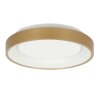 steenhouwer Ringlede Plafondlamp LED Goud, 1-licht