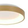 steenhouwer Ringlede Plafondlamp LED Goud, 1-licht