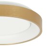 steenhouwer Ringlede Plafondlamp LED Goud, 1-licht