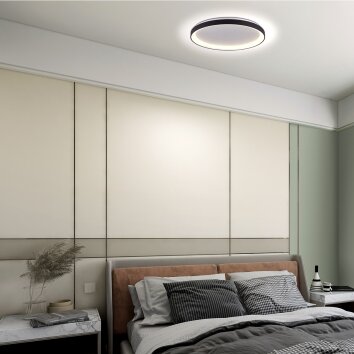 steenhouwer Ringlede Plafondlamp LED Zwart, 1-licht