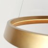 steenhouwer Ringlux Hanglamp LED Goud, 1-licht