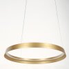 steenhouwer Ringlux Hanglamp LED Goud, 1-licht