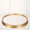 steenhouwer Ringlux Hanglamp LED Goud, 1-licht