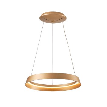 steenhouwer Ringlux Hanglamp LED Goud, 1-licht