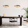 steenhouwer Ringlux Hanglamp LED Zwart, 1-licht