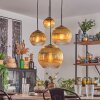 Koyoto Hanglamp, Kogellampje, Hanglamp Goud, Duidelijk, 4-lichts