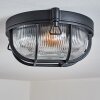 Godel Plafondlamp voor buiten, Plafondlamp Zwart, 1-licht