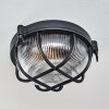 Godel Plafondlamp voor buiten, Plafondlamp Zwart, 1-licht