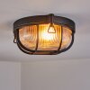 Godel Plafondlamp voor buiten, Plafondlamp Zwart, 1-licht