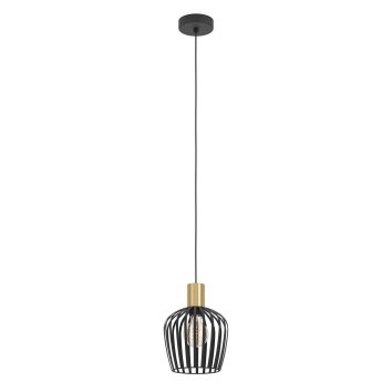 Eglo verlichting EMPOLI Hanglamp Messing, Zwart, 1-licht