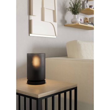 Eglo verlichting COLOMERA Hanglamp Zwart, 1-licht