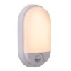 Lucide IR Wandlamp voor buiten LED Wit, 1-licht, Bewegingsmelder