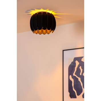 Lucide SPENCER Plafondlamp Zwart, 1-licht