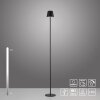 Lichten Direct EURIA Staande lamp LED Zwart, 1-licht