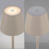 Lichten Direct EURIA Staande lamp LED Grijs, 1-licht