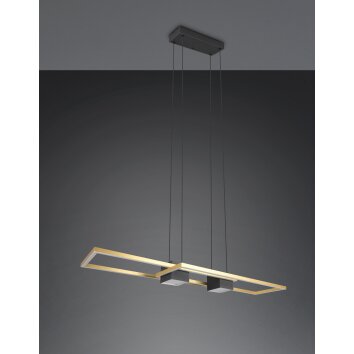 Trio verlichting ALBANY Hanglamp LED Zwart-Goud, 1-licht, Afstandsbediening