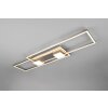 Trio verlichting ALBANY Plafondlamp LED Nikkel mat, 1-licht, Afstandsbediening