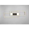 Trio verlichting ALBANY Plafondlamp LED Zwart-Goud, 1-licht, Afstandsbediening