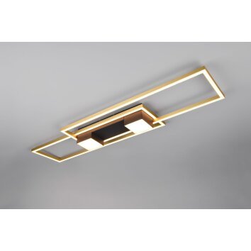 Trio verlichting ALBANY Plafondlamp LED Zwart-Goud, 1-licht, Afstandsbediening