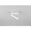 Trio verlichting Ambala Plafondspot LED Wit, 1-licht