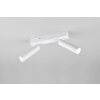 Trio verlichting Ambala Plafondspot LED Wit, 2-lichts