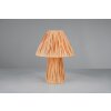 Paddenstoel look  Reality Anea Tafellamp Hout licht, 2-lichts