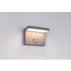 Trio verlichting Blyde Wandlamp LED Antraciet, 1-licht, Bewegingsmelder