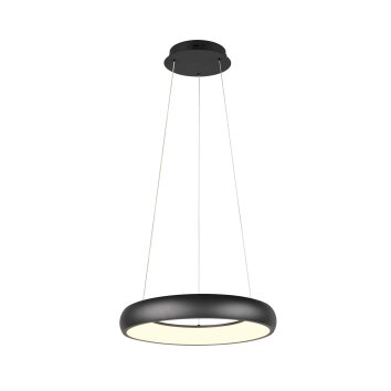 Trio verlichting Cardona Hanglamp LED Zwart, 1-licht