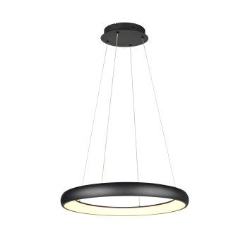 Trio verlichting Cardona Hanglamp LED Zwart, 1-licht