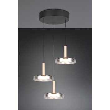 Trio verlichting Celeste Hanglamp LED Zwart, 1-licht