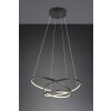 Trio verlichting Darvin Hanglamp LED Zwart, 1-licht