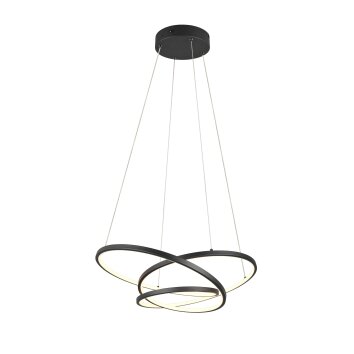 Trio verlichting Darvin Hanglamp LED Zwart, 1-licht