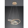 Trio verlichting Darvin Hanglamp LED Goud, 1-licht