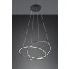 Trio verlichting Darvin Hanglamp LED Zwart, 1-licht