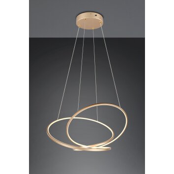 Trio verlichting Darvin Hanglamp LED Goud, 1-licht