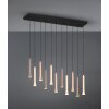 Trio verlichting Fiato Hanglamp LED Zwart, 11-lichts