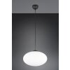 Trio verlichting Fomento Hanglamp Zwart, 1-licht