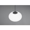 Trio verlichting Fomento Hanglamp Zwart, 1-licht