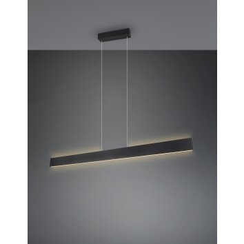 Trio verlichting Galway Hanglamp LED Zwart, 1-licht