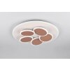 Trio verlichting Mandala Plafondlamp LED Grijs, 1-licht, Afstandsbediening