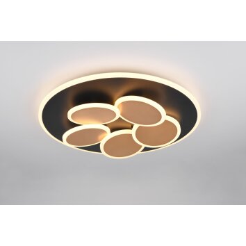 Trio verlichting Mandala Plafondlamp LED Zwart-Goud, 1-licht, Afstandsbediening